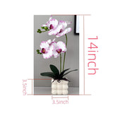Artificial Orchids In Vase, White Purple Edged, 14 In Height, Home Decor Orchid Artificial Flowers