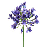 6Pcs Artificial Agapanthus Flowers Long Stems Silk Lily Flowers For Home Hotel Flower Arrangement Party Decor (White Purple)