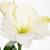 White Amaryllis Fake Flowers 17.3'' Tall Silk Amaryllis Plant In Black Pot Artificial Floral Arrangement With Decorative Bulb For Home Office Bathroom Kitchen Table Holiday Décor