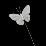 - Feather Butterfly Decorations For Wedding, Party, Home Decor, Gift Wrapping (Set Of 12)