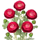 19.7" Red Artificial Flowers Ranunculus Flowers 5Pcs Silk Fake Ranunculus Flowers Faux Buttercup Flower With Long Stem Arrangement For Diy Party Centerpiece Bouquet Table Home Decoration