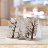 Breathtaking Landscape Note Card Pack / 36 Nature All Occasion Greeting Cards With White Envelopes Set / 6 Colorful Outdoor Scenery Designs / 3 1/2" X 4 7/8" All Occasion Sympathy Cards