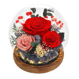Valentines Gifts For Her Preserved Flowers In Glass Dome Long-Lasting Eternal Roses Birthday Gifts For Women Mom Grandma Wife Girlfriend Red Forever Flowers For Delivery Prime