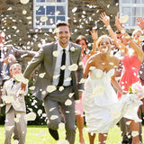 5000 Pcs Rose Petals Artificial Flower For Valentine'S Wedding Decor Romantic Night Event Anniversary Shower Engagement Party Home Decorations, Ivory