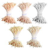 Stamens For Flower Making, 2000 Pcs 2Mm Matte Pearl Double Heads Flower Stamens Handmade Artificial Floral Pollens For Diy Crafts Christmas Party Home Wedding Scrapbook Decoration