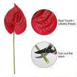 Artificial Anthurium Flowers 8 Pack 21 Inch Red – Real Touch Faux Flowers For Home Decor, Tabletop Centerpieces, Floral & Wedding Arrangements