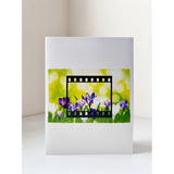 3D Pop Up Greeting Card – Purple Crocus Flowers In Bloom, Handmade Paper Art For Birthday, Mother’S Day, Spring, Thank You & Garden Lover Gift With Envelope F37