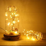 10FT Battery Operated Fairy String Lights 30 LED Warm White Firefly Lights for Wedding Party Home Garden Decor