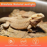 T5 UVB Reptile Light Bulbs 39W 10.0 UVA UVB Lamp Tubes for Bearded Dragon Terrarium 2 Pack
