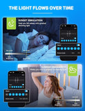 A19 Smart Light Bulbs 4 Pack WiFi Bluetooth RGB Color Changing LED Bulbs Alexa Google Compatible