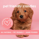 Sandy Paws | Pet Friendly Candle | Soy-Free Coconut Apricot Wax | Clean Burning | Non-Toxic | Veterinarian Approved | Pet Odor Eliminator | Air Freshening Scented Candle | 9 Oz