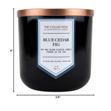 Chesapeake Bay The Collection Candles