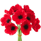 10Pcs Red Artificial Poppy Flowers Fake Pu Floral Stems Real Touch Silk Like Wedding Memorial Day Decor Bouquet Centerpieces Home Arrangements