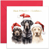 Old English Co. Pawfect Christmas Card For Them - Cute Dogs Santa Hat Christmas Card For Parents, Mum, Dad - Special Merry Xmas Gift For Family | Blank Inside With Envelope