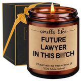 Candle, Future Lawyer, Funny Lawyer Gifts For Women, Men - Law School Essentials, Cool Graduation Gifts For Law Students, Lawyers - Funny Valentines, Bar Exam, School Acceptance Idea For Attorney