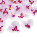 3.5" Artificial Orchid Flower Heads, 40 Pack Silk Phalaenopsis Fake Butterfly Orchid Heads For Wedding Floral Bouquet Decor Diy Craft Making, White Purple
