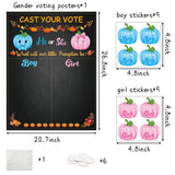 Pumpkin Gender Reveal Party Games Cast Your Vote Poster With Team Boy Team Girl Stickers For He Or She Halloween Thanksgiving What Will Our Little Pumpkin Be Gender Reveal Decorations Supplies