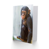 Card Greeting Gift Photo Cute Chimpanzee Chimp Baby Chewing Carrot
