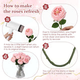 10Pcs Real Touch Peonies Artificial Flowers, Faux Austin Rose With Long Stem Look Real Fake Flower For Christmas Valentines Arrangement Wedding Party Home Kitchen Decor(Pink)