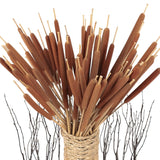 45Pcs Large Natural Brown Cattails Bundles - Dried Flowers Real Cat Tails For Decorating, 17'' Jumbo Cattail Bulrush Plants Floral Stems Artificial Pampas Grass Arrangements Wedding Home Farmhouse