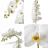 2Pcs White Orchids Artificial Flowers 38" Long Stem Fake Orchid,Real Touch Latex Faux Phalaenopsis With 9 Large Orchids For Home Décor Centerpiece Arrangements