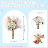 9 Pcs Dried Flowers Boutonniere For Men Boho Wedding Party Prom Corsage Decorations Grooms Buttonhole For Groom And Groomsmen Ceremony Decoration (Cute Style)
