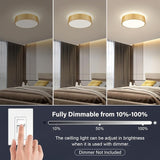 11.8 Inch Gold LED Ceiling Light 5CCT Dimmable Flush Mount Fixture