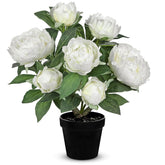 White Fake Peonies Artificial Flowers In Pot 16.9" Small Peonies Tree Indoor Outdoor Faux Plants & Flowers Peony Silk Flowers Potted Plant Artificial Peony Floral Arrangement Desk Home Decor
