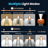 Rechargeable Camping Light with Tripod and Remote Portable LED Work Light with 3 Adjustable Lamp Heads