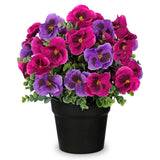 Artificial Potted Pansy Flowers, 13.7’’ Purple & Fuchsia Faux Pansy Arrangement In Black Pot, Lifelike Fake Flowers For Indoor Outdoor Spring Decor, Table Centerpiece, Porch Patio Home Décor