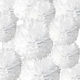 White Tissue Paper Pom Poms 12Pcs- Hanging Paper Flowers for Wedding Birthday Graduations Christmas and Special Occasions(10 & 12 inch)