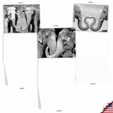- 10 Blank Note Cards With Envelopes (4 X 5.12 Inch) - Black & White Photos, Bulk Boxed Set - Trunks Of Love M2370Ocb