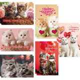 Valentines Day Kitten Cards Assorted Pet Happy Valentine'S Day Greeting Cards Bulk With Envelopes And Stickers Party Favors 6 Designs