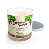 Eucalyptus Spearmint Scented Natural Soy Candle, Essential Fragrance Oils, 100% Soy, Phthalate & Paraben Free, Clean Burning, 9 Oz.