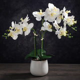 Artificial White Orchid Plant In Gray Ceramic Pot, Realistic Faux Flowers Indoor Decorative Display, 21-Inches Tall, Non-Allergenic, Maintenance-Free