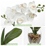 White Orchids Artificial Flowers With Vase, Small Faux Orchid Arrangement Set Of 2 Fake Flowers In Glass Vases Small White Centerpieces For Kitchen Dining Room Tables Bathroom Nightstand Shelf Decor
