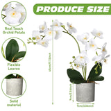 2 Pcs Fake Orchids Flowers In Pot Faux Orchids Artificial Floral Phalaenopsis With Vase For Home Wedding Table Centerpiece Bathroom Indoor Room Office Desk Decoration