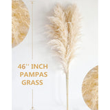 46" Inch 10 Stems Natural Pampas Grass Decor Tall, Pompas Grass, Tall Pampas Grass For Weddingm, Farmhouse, Boho Home Decor (Beige)