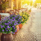 Artificial Flowers, Fake Artificial Greenery Uv Resistant No Fade Faux Plastic Plants For Wedding Bridle Bouquet Indoor Outdoor Home Garden Kitchen Office Table Vase 6Pcs (Purple)