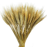 100 Pcs Dried Wheat Stalks Bundle Grass Natural Dried Wheat Sheaves Stems Dried Flowers Arrangement Bouquet For Wedding Party Table Centerpiece Fall Harvest Wreath Boho Decor Farmhouse Diy
