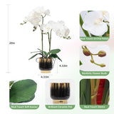 Orchids Artificial Flowers Real Touch Fake Flowers In Ceramic Pot 20" White Faux Orchid Plant Lifelike Silk Phalaenopsis For Centerpiece Hotel Home Indoor Decor