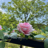 5.9Ft Bendable Rose Flower Garlands, Artificial Silk Wild Roses Vine Hanging Flowers For Wall Fireplace Fence Table Centerpieces Trellis Wedding Indoor Outdoor Spring Decor(Pink, 1Pc)