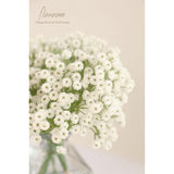 18Pcs Artificial Babys Breath Gypsophila Greenery Sprays, Real Touch White Fake Flowers For Wedding Bouquets Centerpieces Floral Arrangements And Decorations