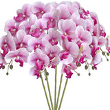 5 Pcs Artificial Orchid Flowers,Artificial Phalaenopsis Flowers 32 Inch Stem Plants For Home Wedding Decoration (White Flower Purple Core)