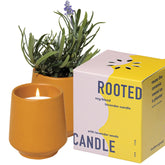 Rooted Candle - 2 In 1 Cedarwood Scented & Soy Candle With Seeds That Grows Into Lavender Plant - 6 Oz W/ 42 Hr Burn Time In Matte Glaze Ceramic Vessel Ideal For Indoor Herb Garden