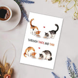 Cute Cat Anniversary Card For Couples, Valentine’S Day Card For Cat Lovers, Romantic Love Card For Husband Wife Boyfriend Girlfriend, Through Thick And Thin