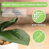 Orchid Leaves Artificial Artificial Orchid Leaves Real Touch Phalaenopsis Stems Faux Cymbidium Flower Foliage Green Artificial Orchid Bulk 2Pack Lifelike Orchid Leaf Decor Faux Orchid 8 Inches