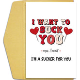 Dirty Valentine'S Day Card Gift For Husband Boyfriend Fiance, Funny Rude Birthday Card For Men, Naughty Anniversary Cards For Him, I Want To Suck You Cards
