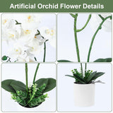 Artificial Orchid Flower Potted, 16.9" White Orchid In Pot Faux Plant With 2 Stems Artificial Phalaenopsis In Plastic Pot For Home Table Centerpiece Wedding Decoration