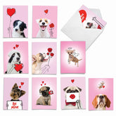 - 10 Assorted Valentine'S Day Note Cards (4 X 5.12 Inch) - Boxed Valentine Cards, Bulk Set With Envelopes - Dog Love Doodles Am9187Vdg-B1X10